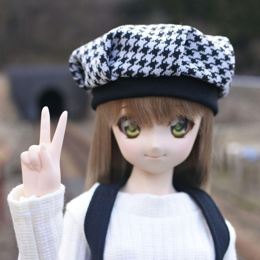 ドルフィードリーム　ドール　＋衣装20点以上、お出かけバッグ他