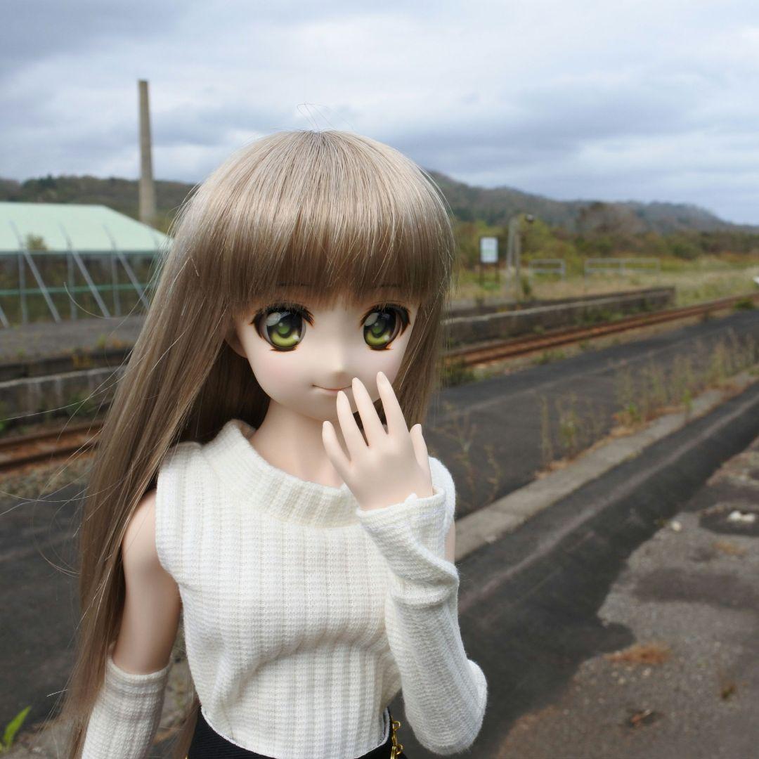 ドルフィードリーム　ドール　＋衣装20点以上、お出かけバッグ他