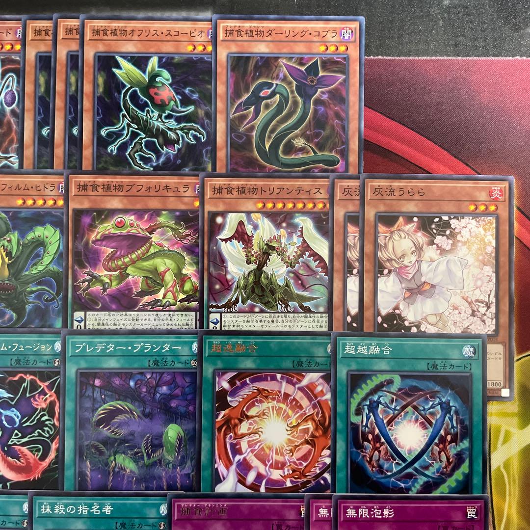 本格構築 捕食植物デッキ プレデタープランツデッキ 血樹竜姫ドラセリア