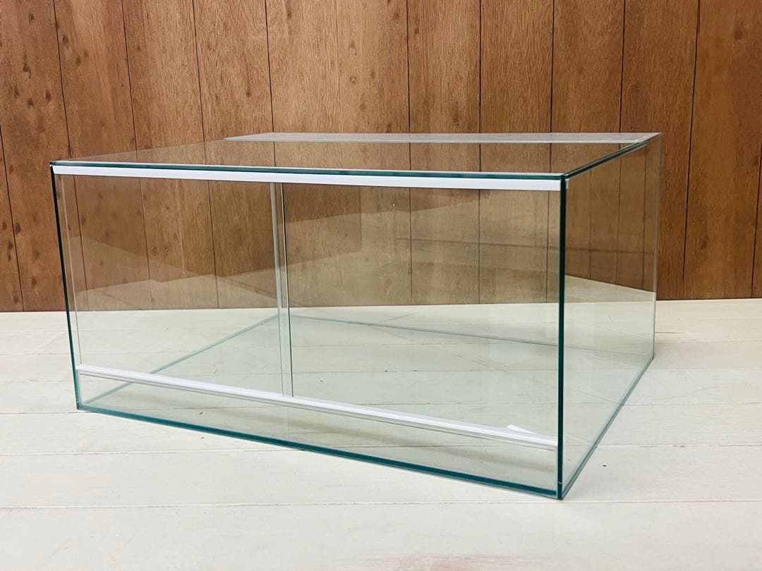 一点限定　パルダリウム水槽600×445x300㎜クリプト・ブゼファランド等に