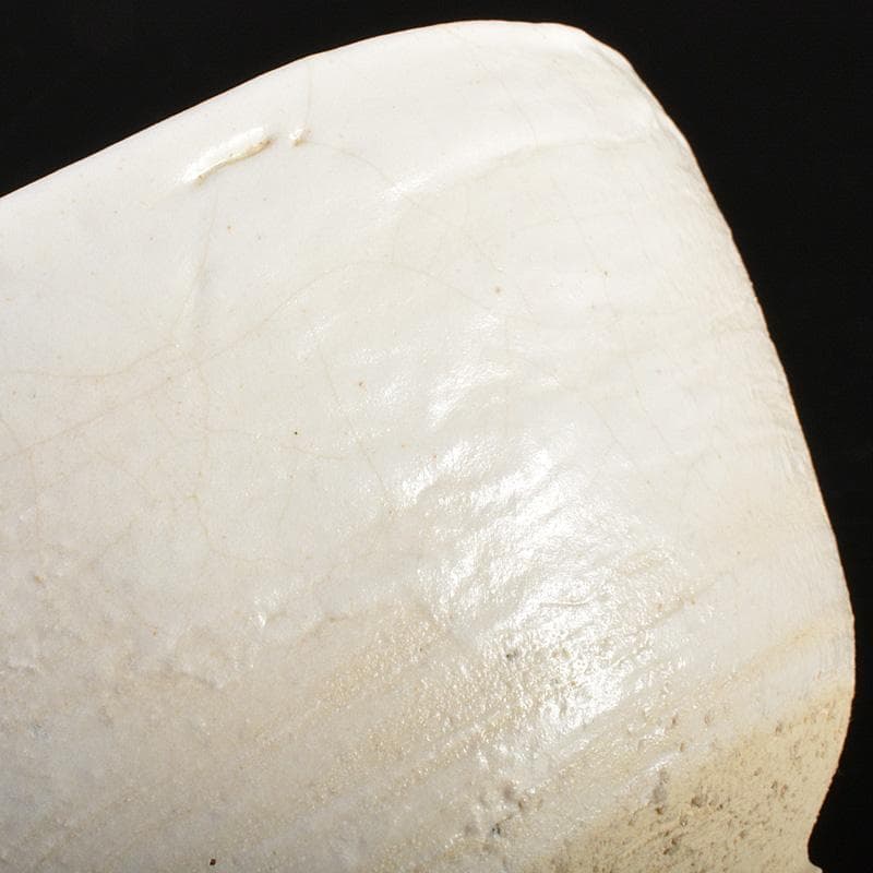 茶道具　人間国宝　田村耕一造　白釉茶碗　共箱　M　R6890