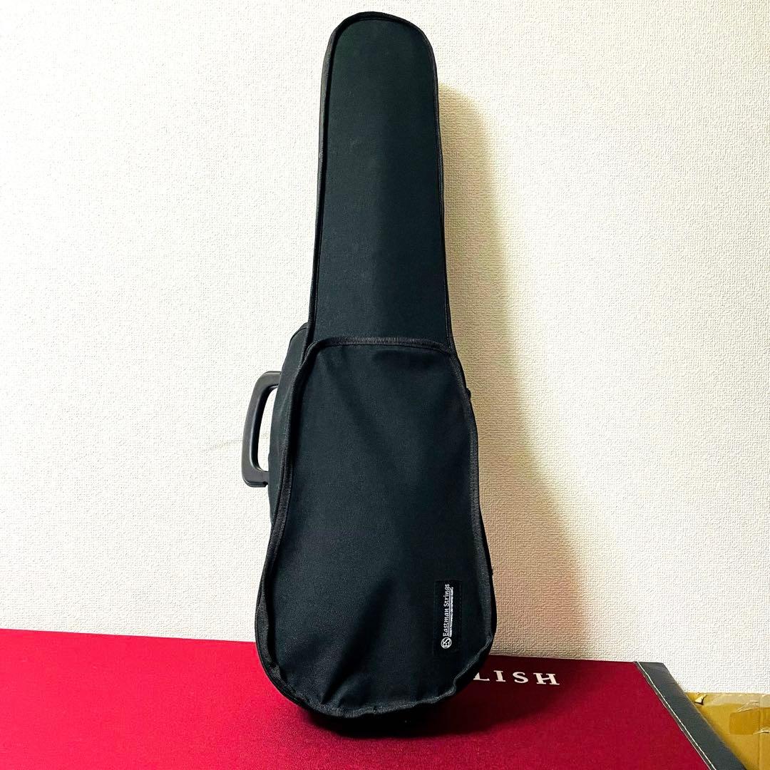【ケース付属品付き】Eastmanバイオリン