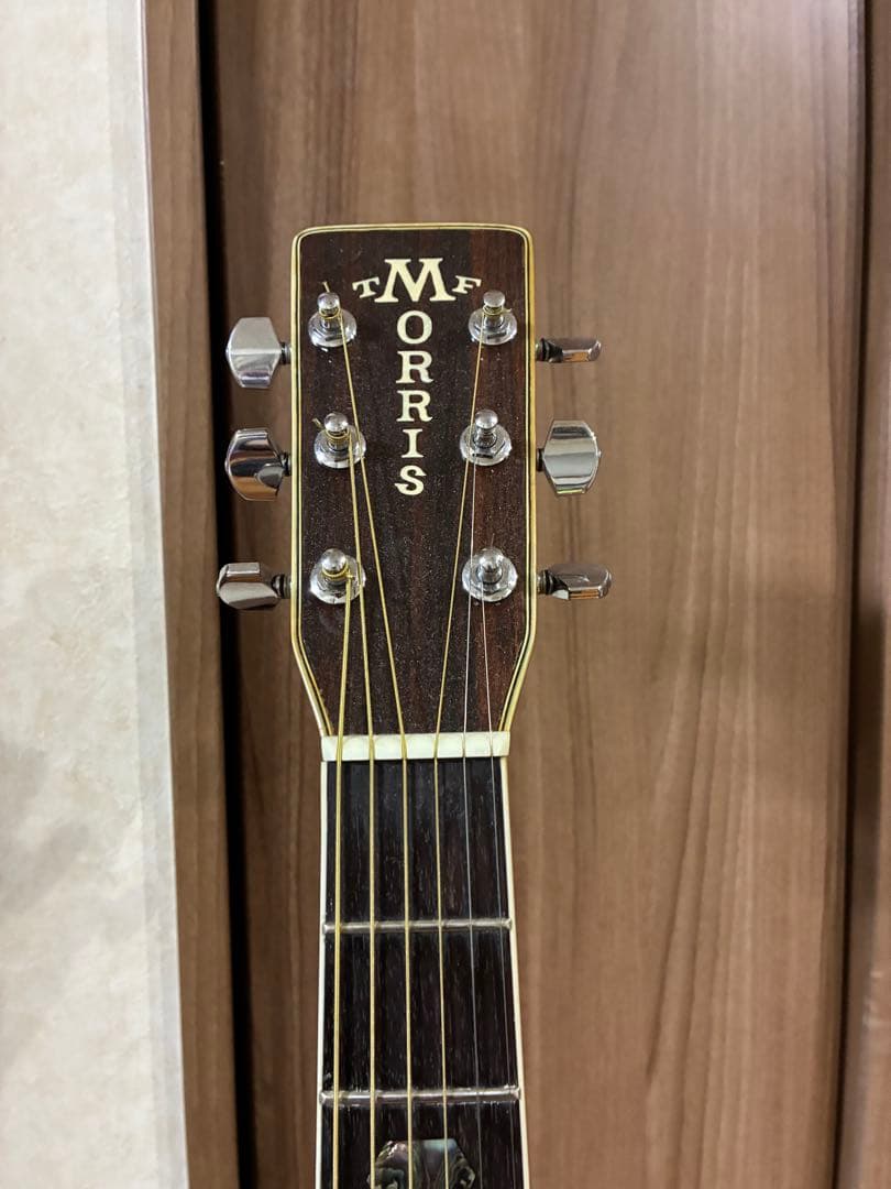 Morris W-50 アコースティックギター