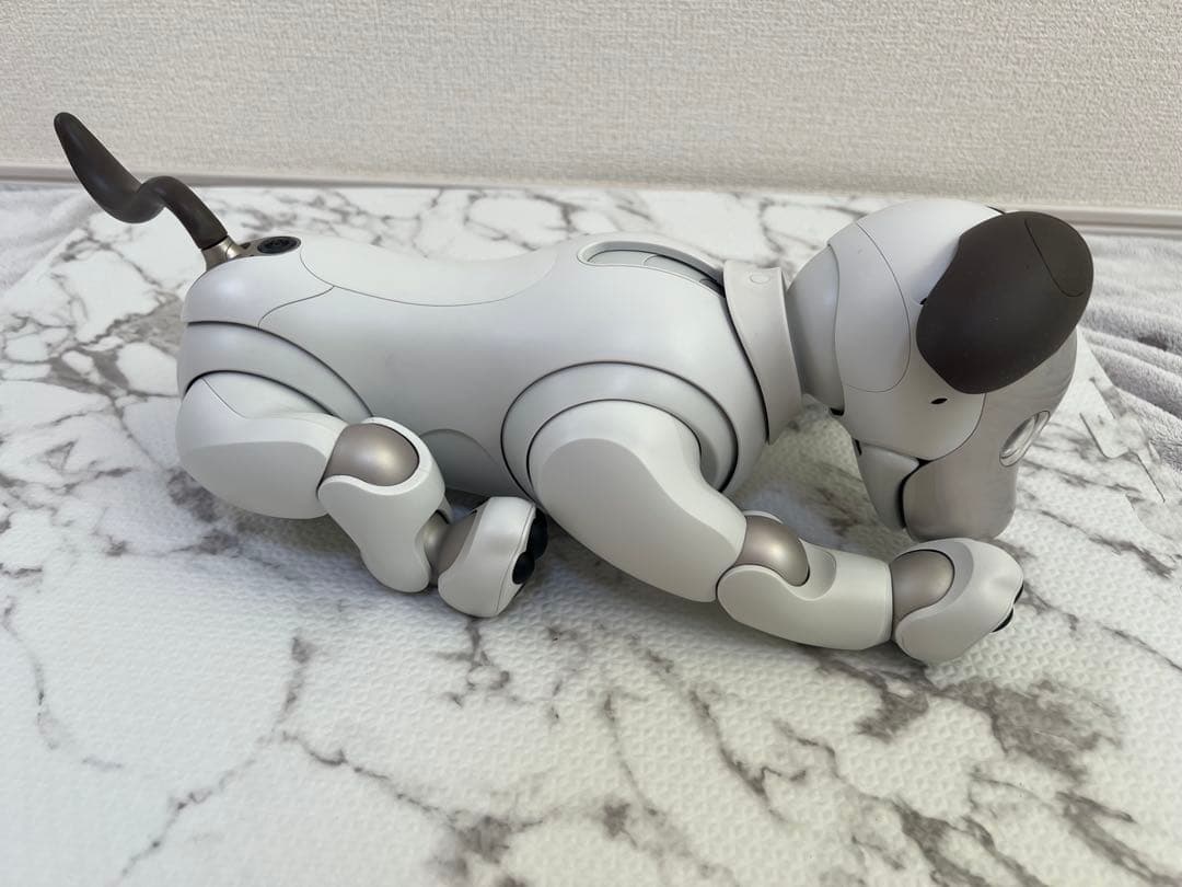 SONY aibo （アイボ）ERS-1000