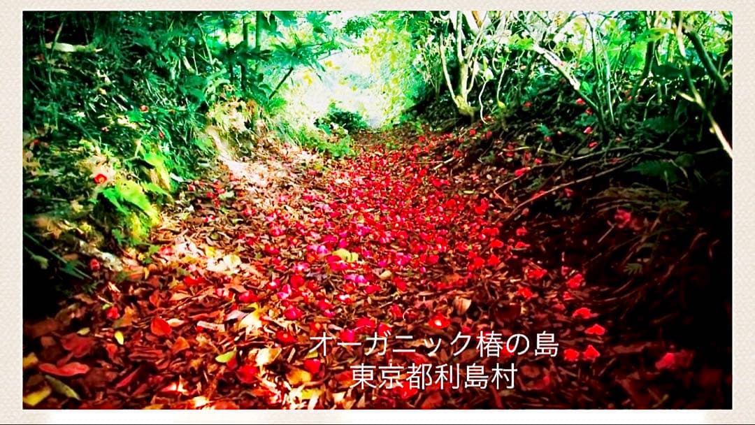 ちょこ　アウトレットキューブ・スノーホワイト1kg×7袋 フォロー割