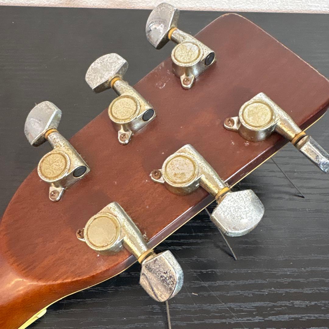 Morris アコースティックギター MD-515CCS