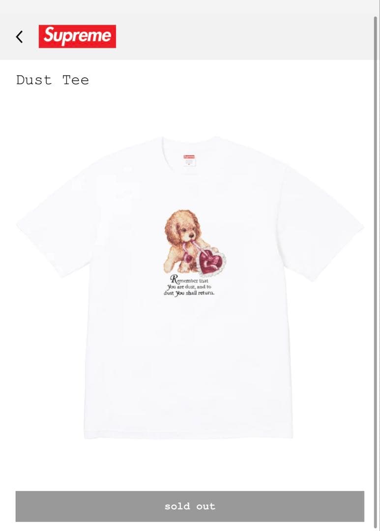 Supreme Dust Tee ホワイト Tシャツ　シュプリーム