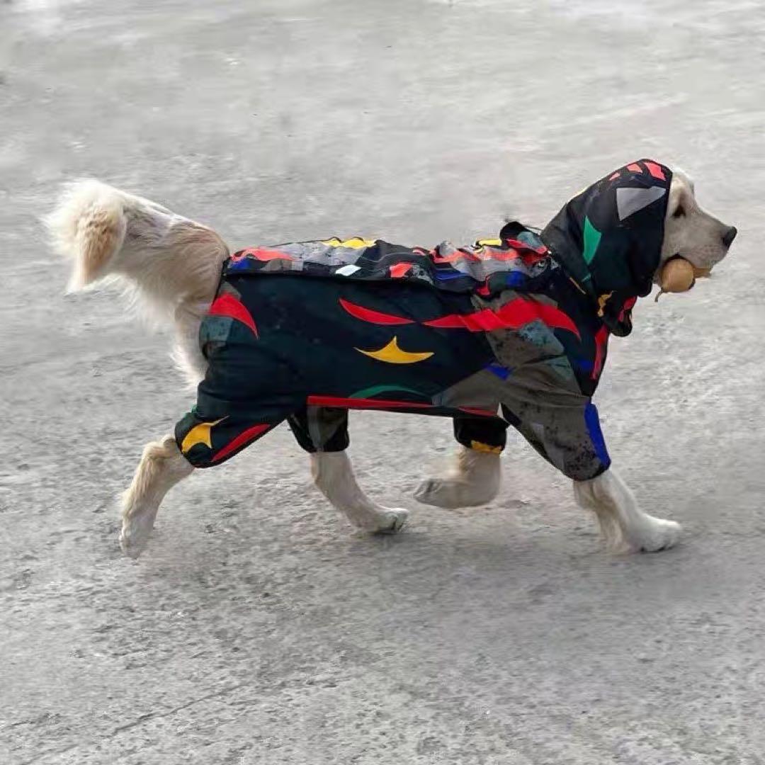 犬服2枚レインコート2枚