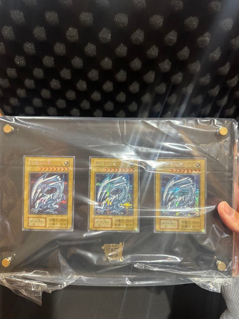 遊戯王OCG シクブル3枚新品