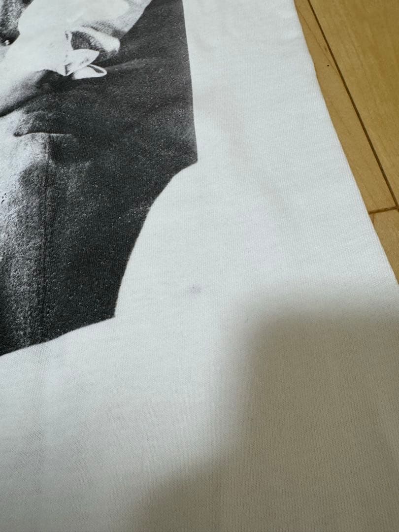 バ*ラ様 NIGO 半泥子 展覧会T / Bruce Weber LAST OR