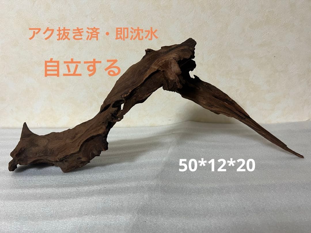 HX-061流木　マシンガンウッド　ホーンウッド アクアリウム　沈水確認済