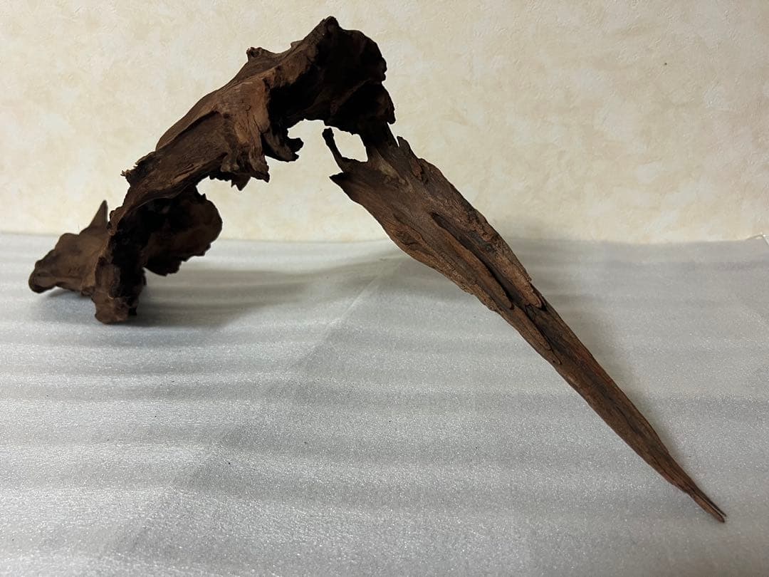 HX-061流木　マシンガンウッド　ホーンウッド アクアリウム　沈水確認済