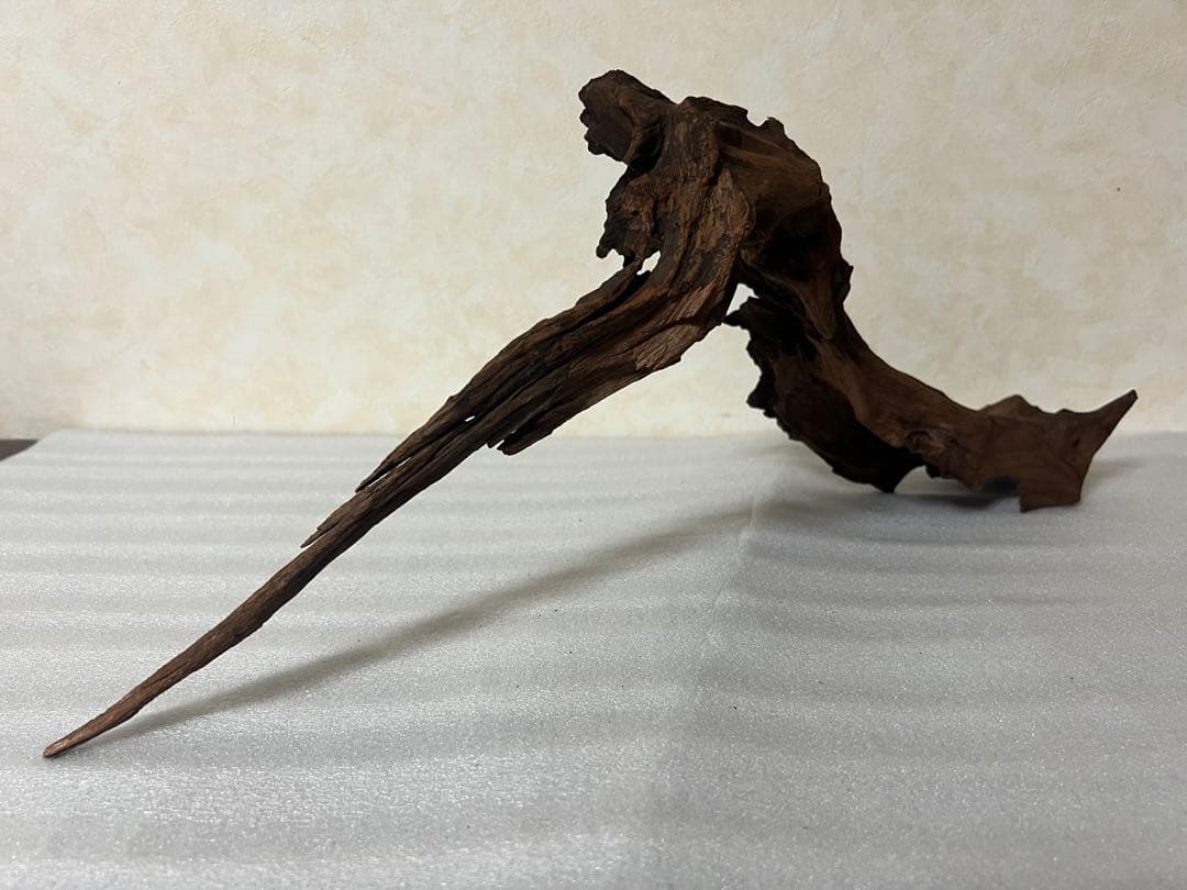 HX-061流木　マシンガンウッド　ホーンウッド アクアリウム　沈水確認済