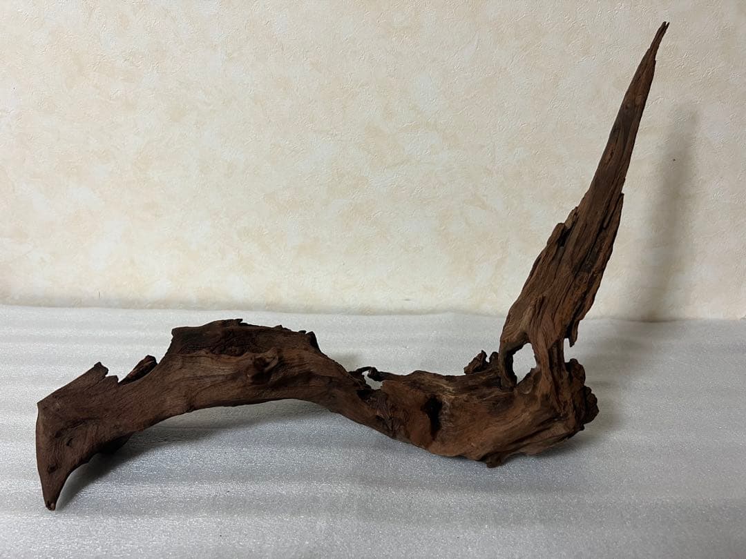 HX-061流木　マシンガンウッド　ホーンウッド アクアリウム　沈水確認済