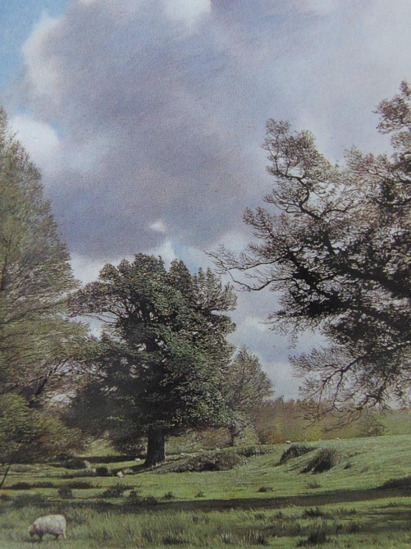 原雅幸、【Chiddingstoneの新緑】、希少な額装用画集より、新品額装付