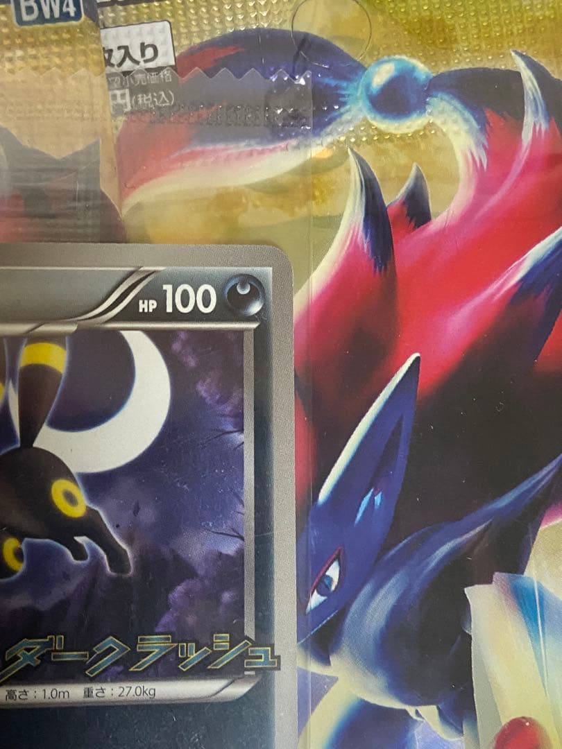【未開封】ポケモンカードゲームBW ダークラッシュ キャンペーンパック　ポケカ