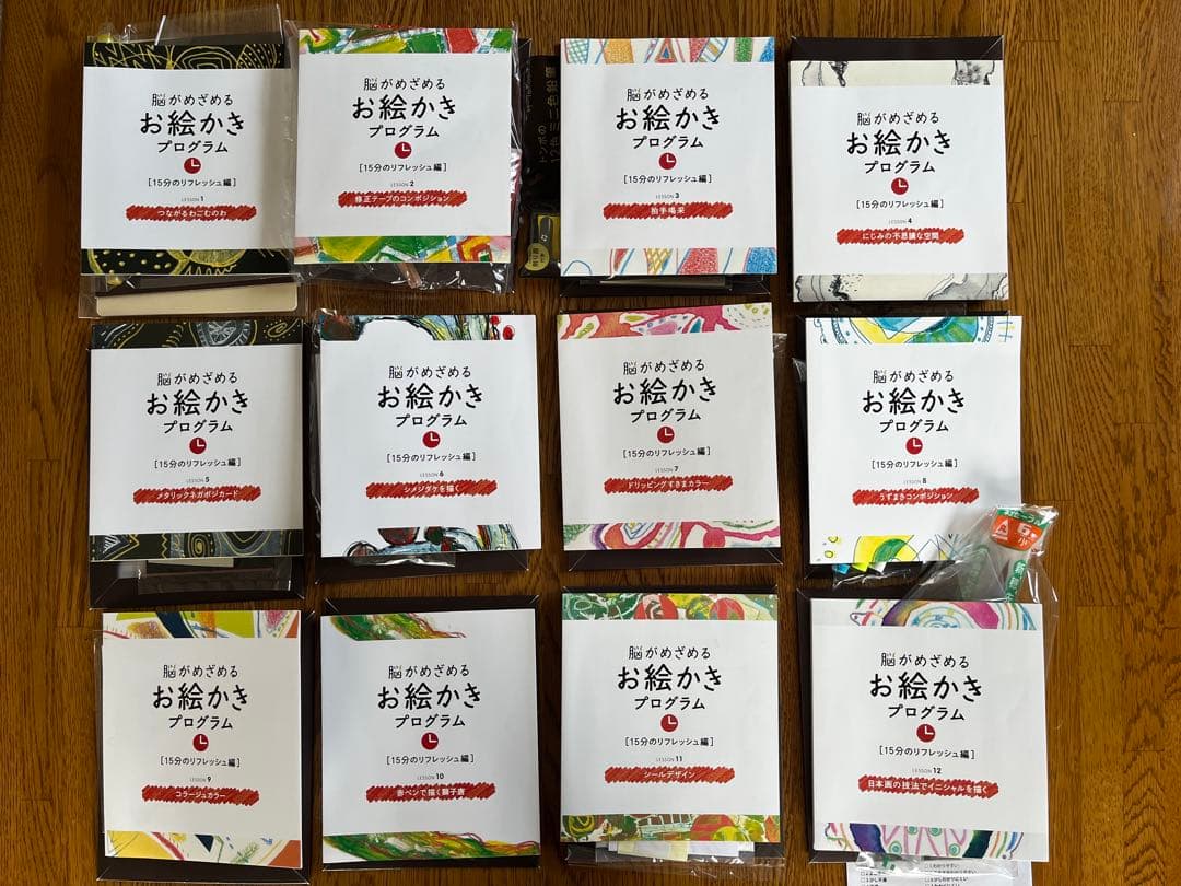 フェリシモ　脳がめざめるお絵かきプログラム［15分のリフレッシュ編］12回セット
