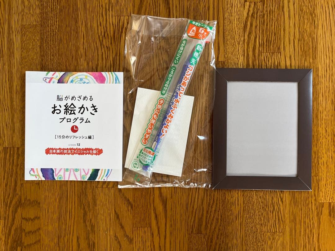 フェリシモ　脳がめざめるお絵かきプログラム［15分のリフレッシュ編］12回セット