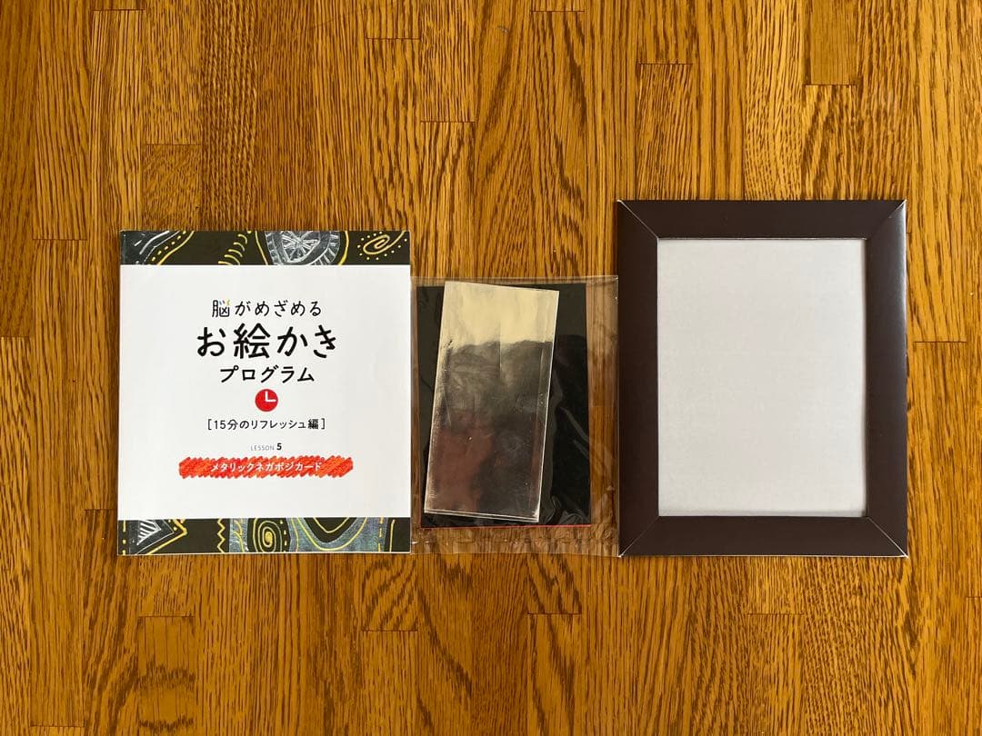 フェリシモ　脳がめざめるお絵かきプログラム［15分のリフレッシュ編］12回セット