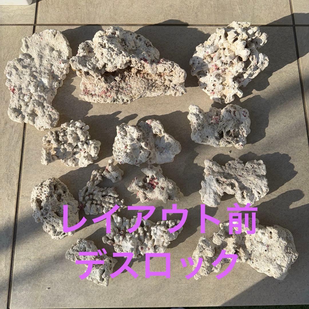 【値下げ】ガラス水槽 SET※ ゆとさん専用