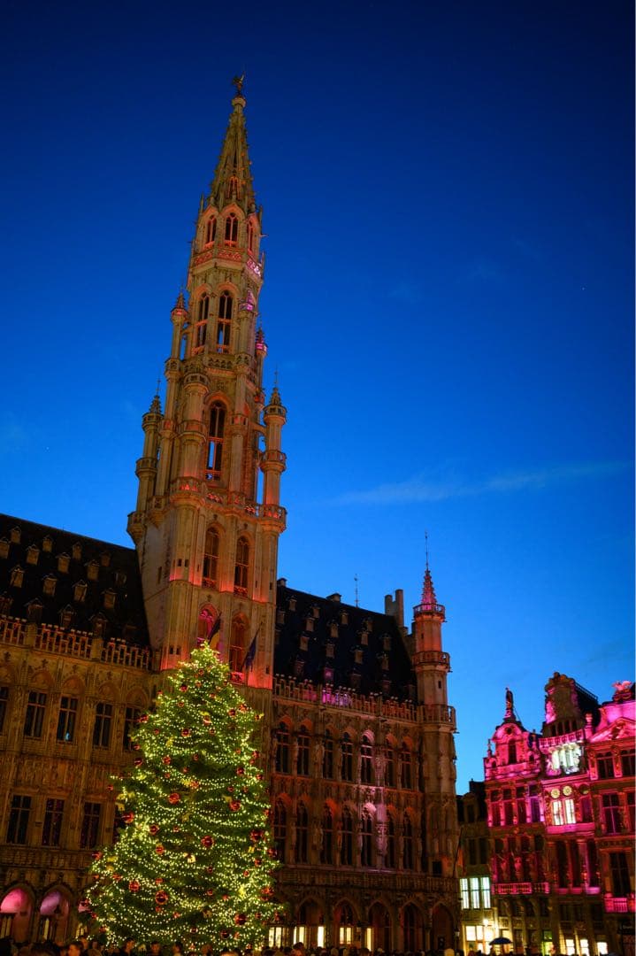 NIKKOR Z 35mm f/1.8 S 美品｜保証期間内｜ZXIIプロテクタ