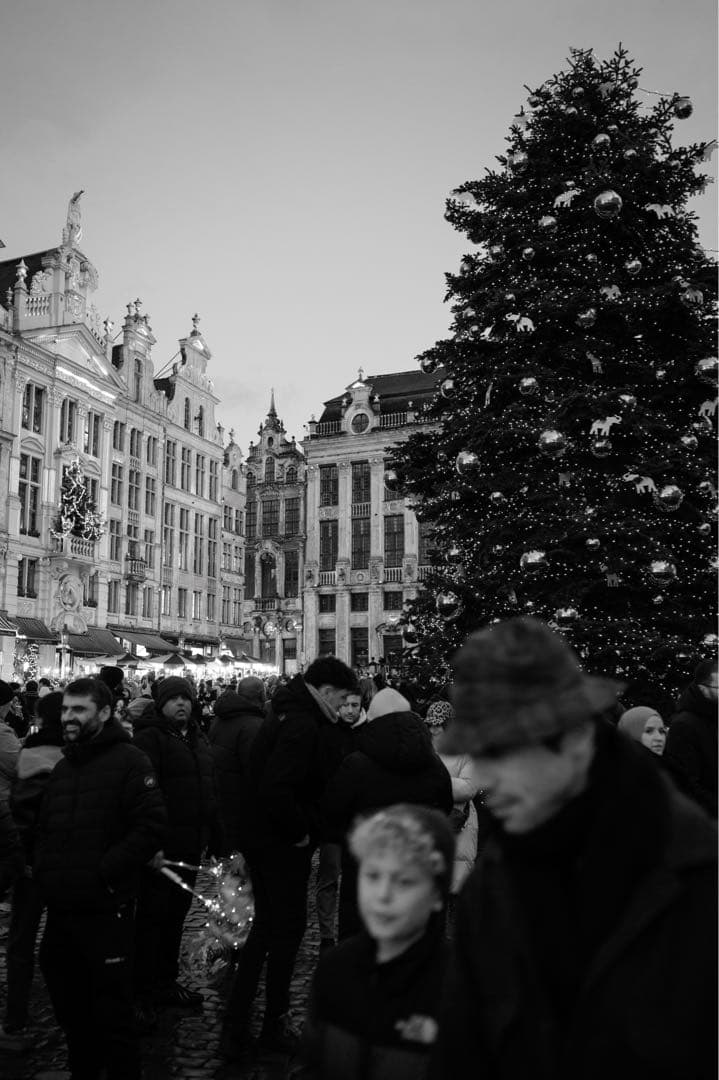 NIKKOR Z 35mm f/1.8 S 美品｜保証期間内｜ZXIIプロテクタ