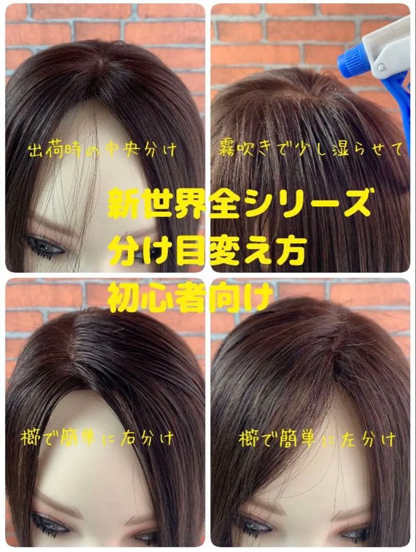 2025新世界　人毛　ウィッグ　フルウィッグ　シルクスキン　医療ウィッグ　レミー