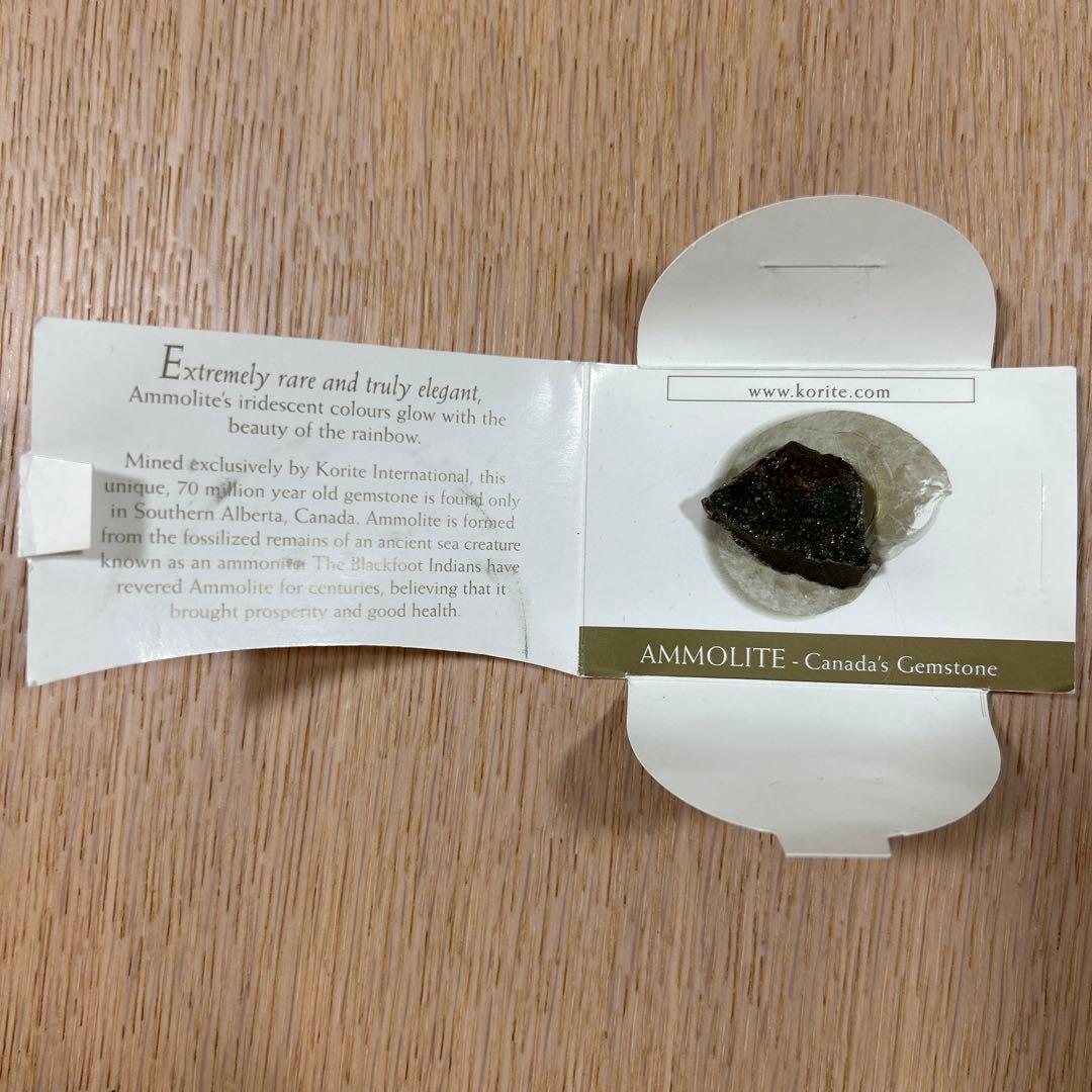 KORITE  アンモライト原石片