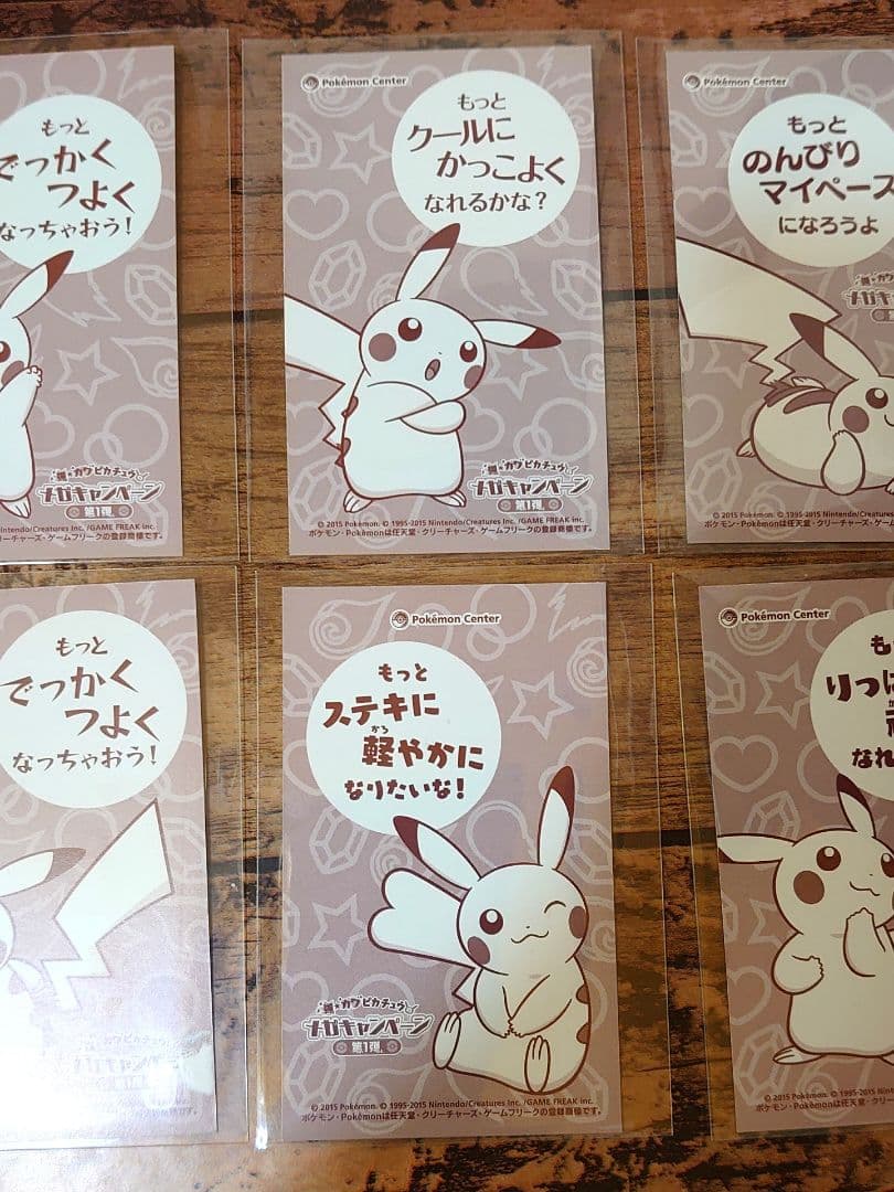 メガキャンペーン 第1弾 名刺カード 6種 ピカチュウ メガシンカ ポンチョ