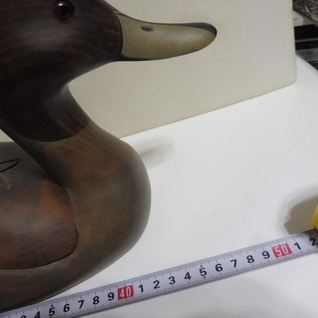 デコイ 鴨 水鳥 尾長鴨 Pintail Drakeのデコイ