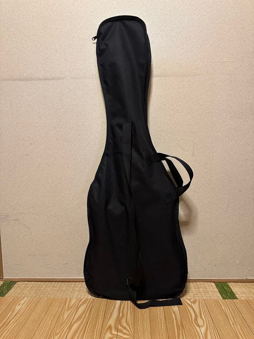 PLAYTECH プレイテック　テレキャスター系　エレキギター