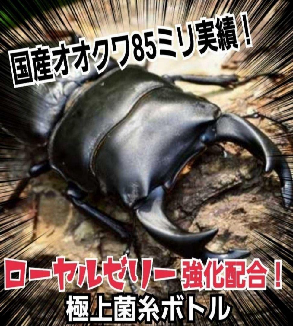 カワラタケ菌糸瓶1100ml 【８本】トレハロース強化配合！クワガタ全般に使える