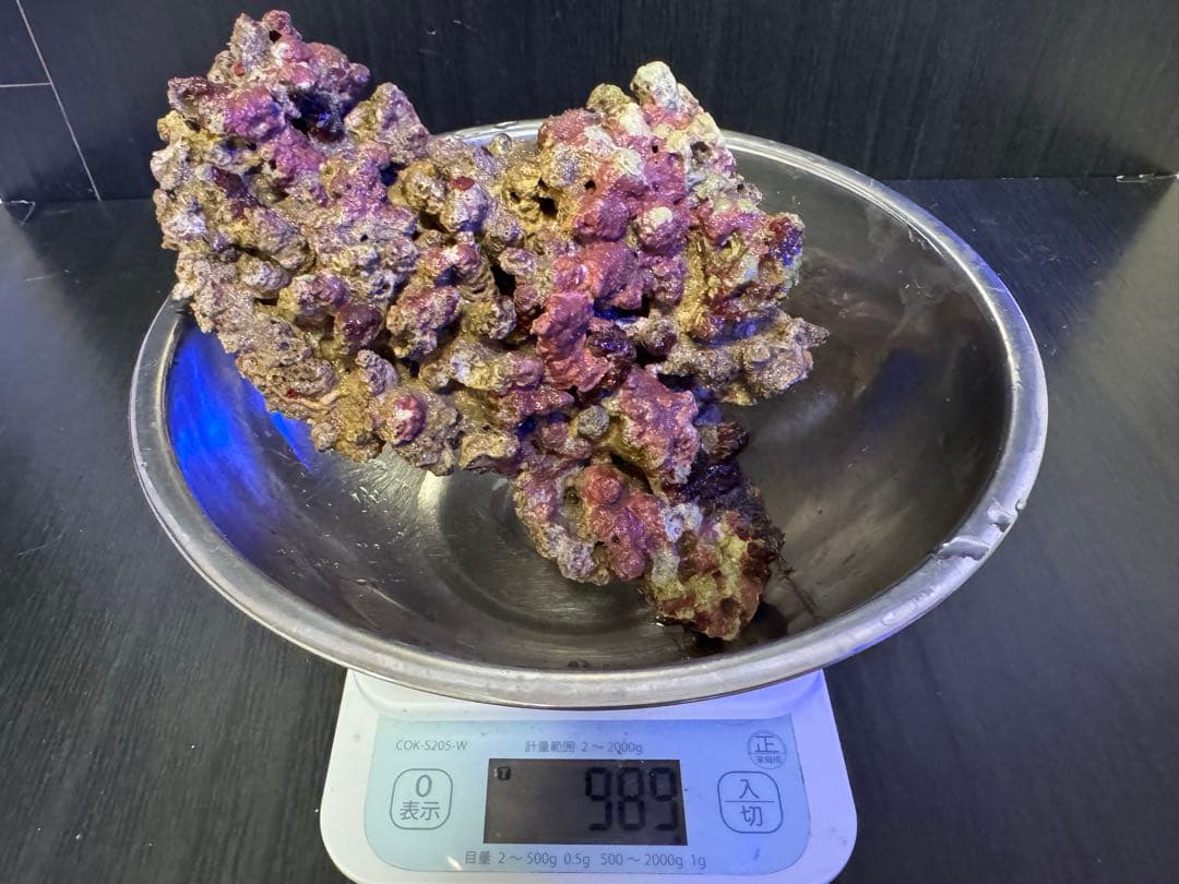 ナカジ 天然ライブロック 6.4kg (7個)