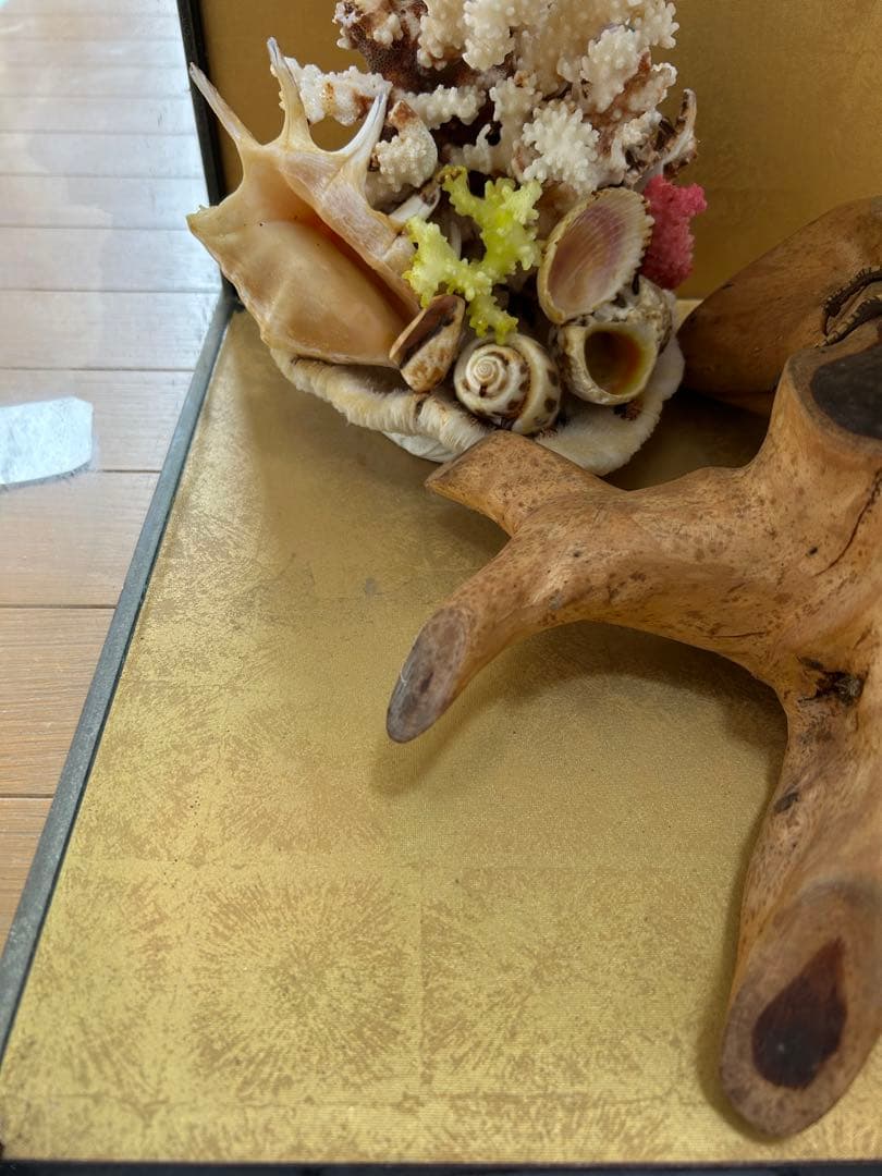 ゴイサギの剥製 ガラスケース入り