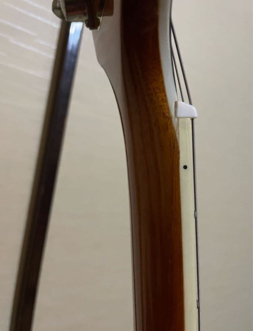 Epiphone/エピフォン Nighthawk/ナイトホーク +付属品あり