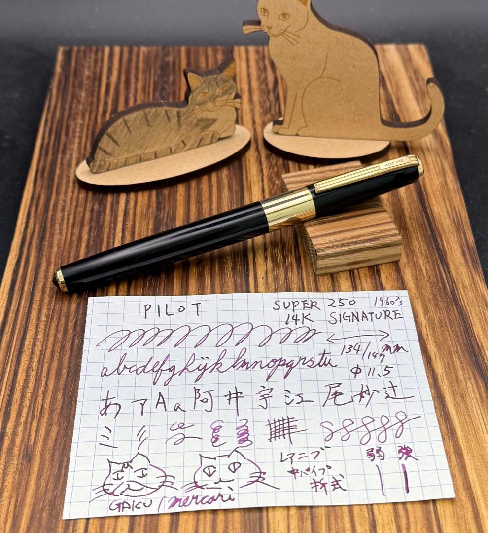 Pilot ビンテージ 万年筆 SUPER250 14K SIGNATURE