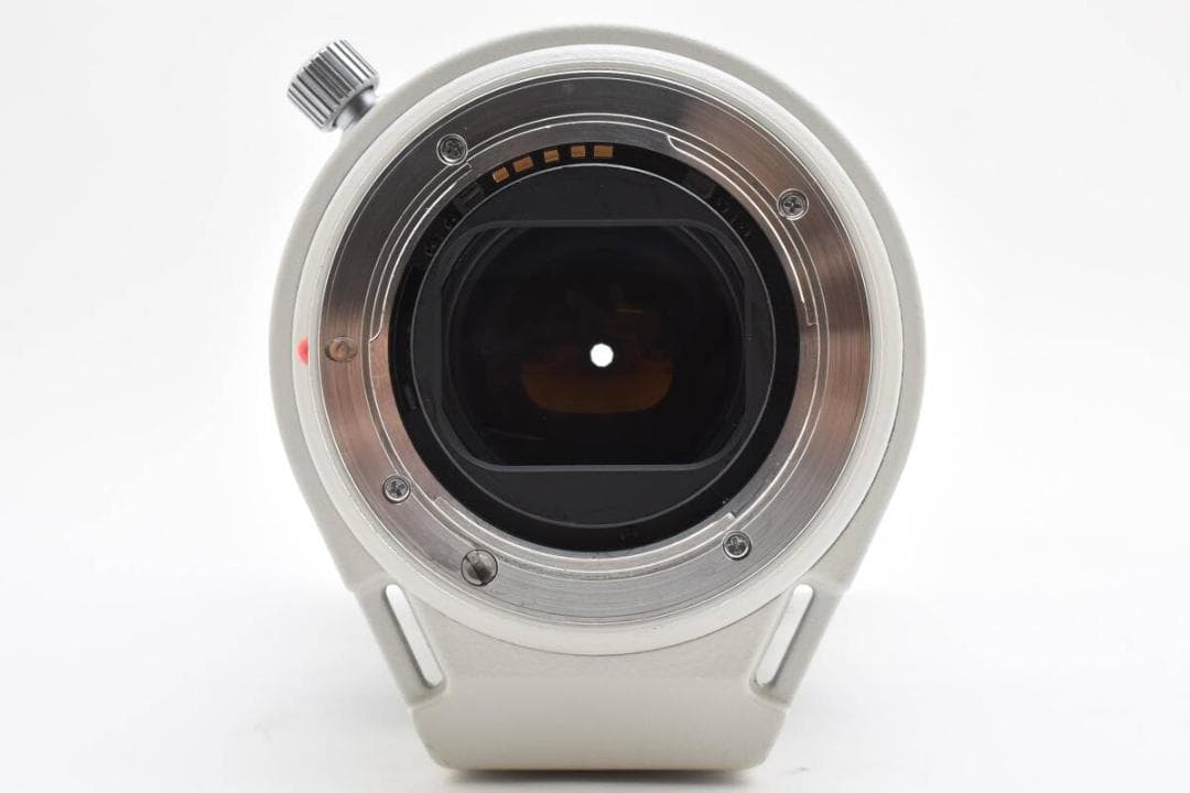 MINOLTA AF apo 80-200mm F2.8 G ♯1221