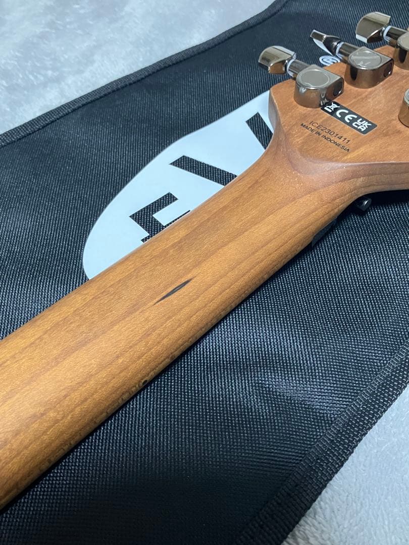 ギター EVH Wolfgang WG Standard Quilt Maple