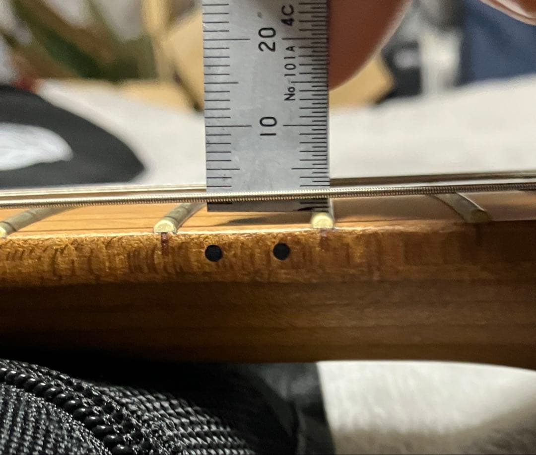 ギター EVH Wolfgang WG Standard Quilt Maple