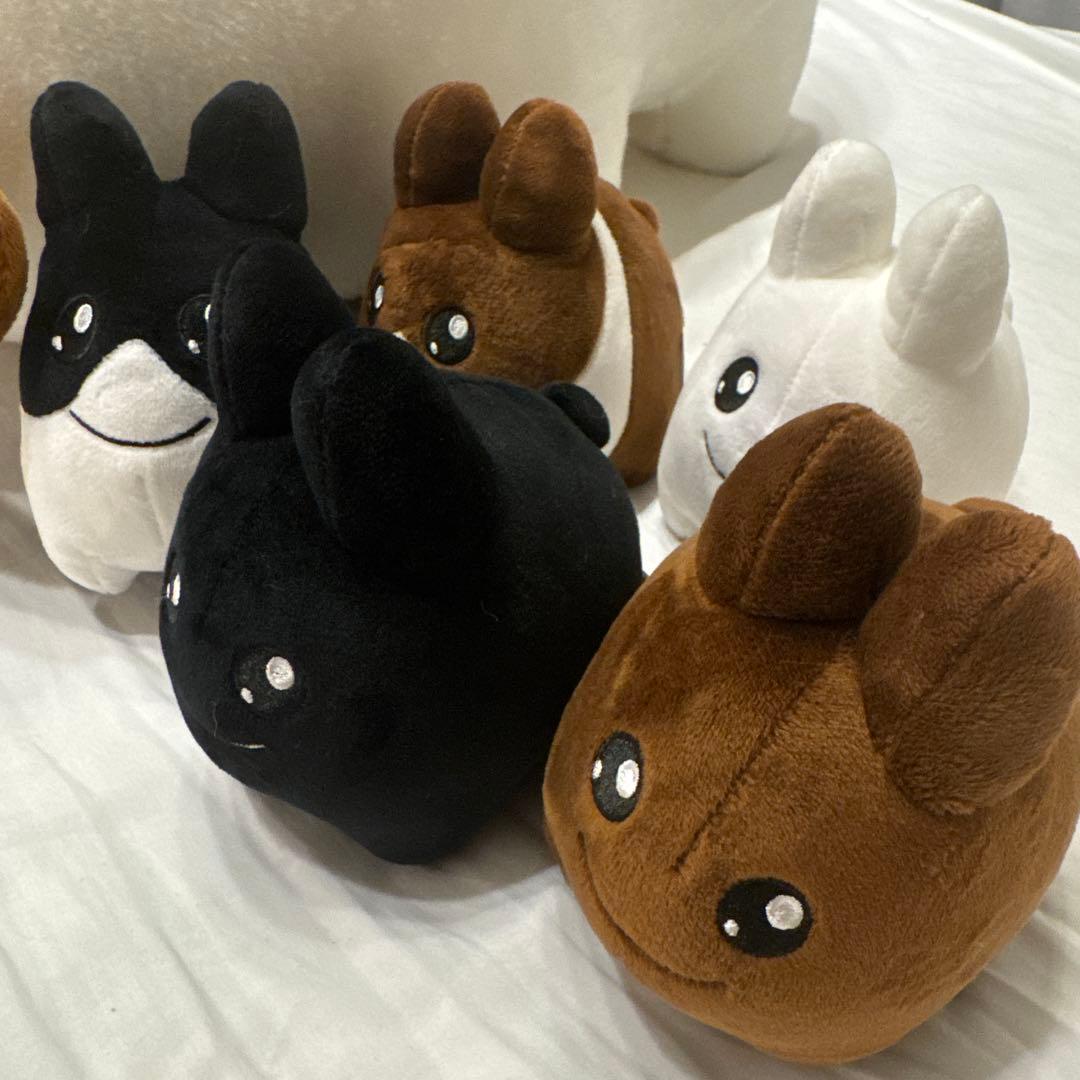 [レア品]Kidrobot labbit ぬいぐるみ 5体セット