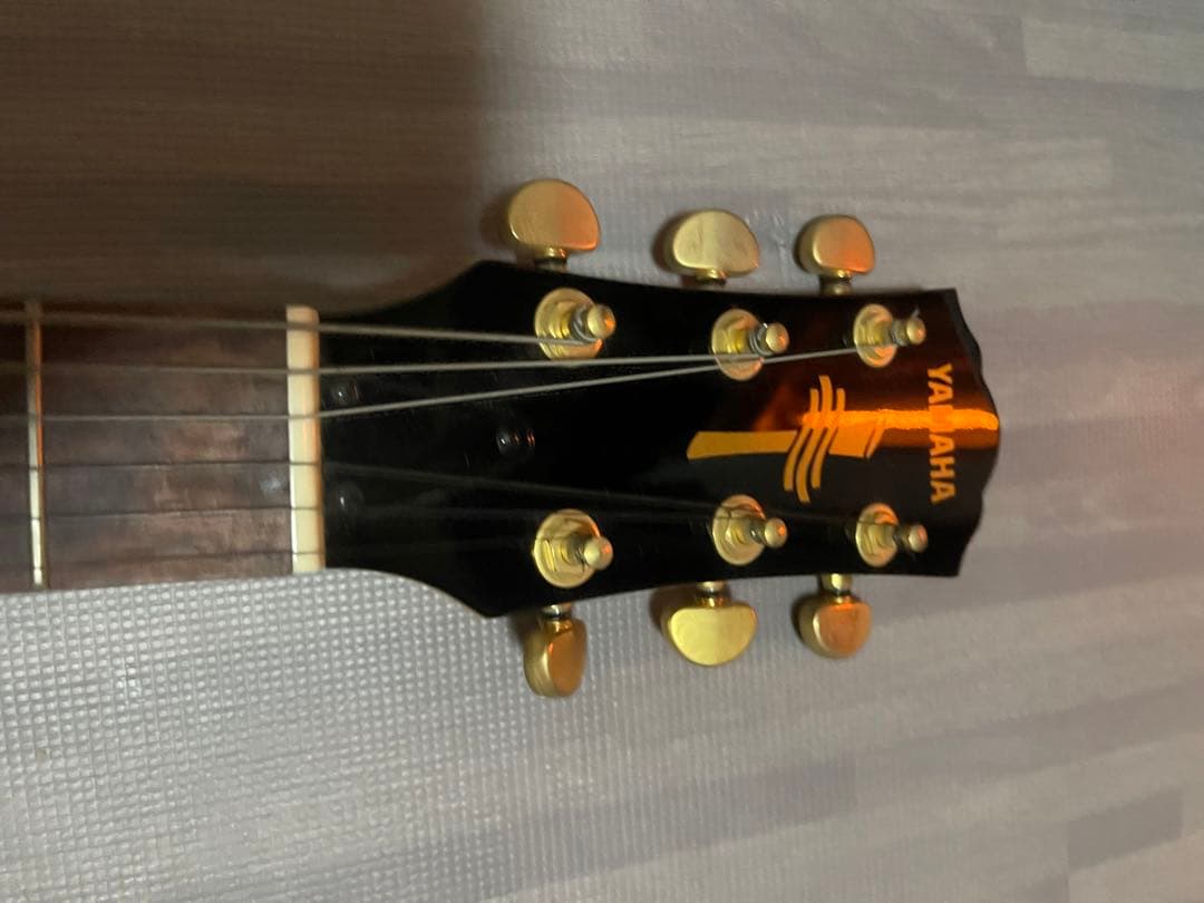 ギター YAMAHAaex500