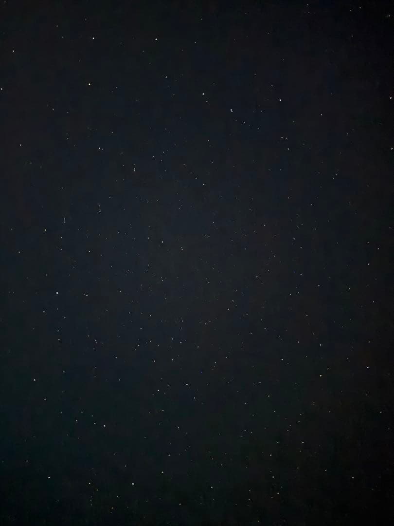 その他 Egg chicken