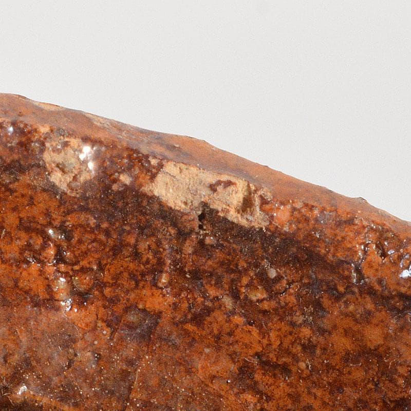 茶道具　大樋焼　九代　大樋長左衛門作　干支　戌　香合　共箱　C　6828