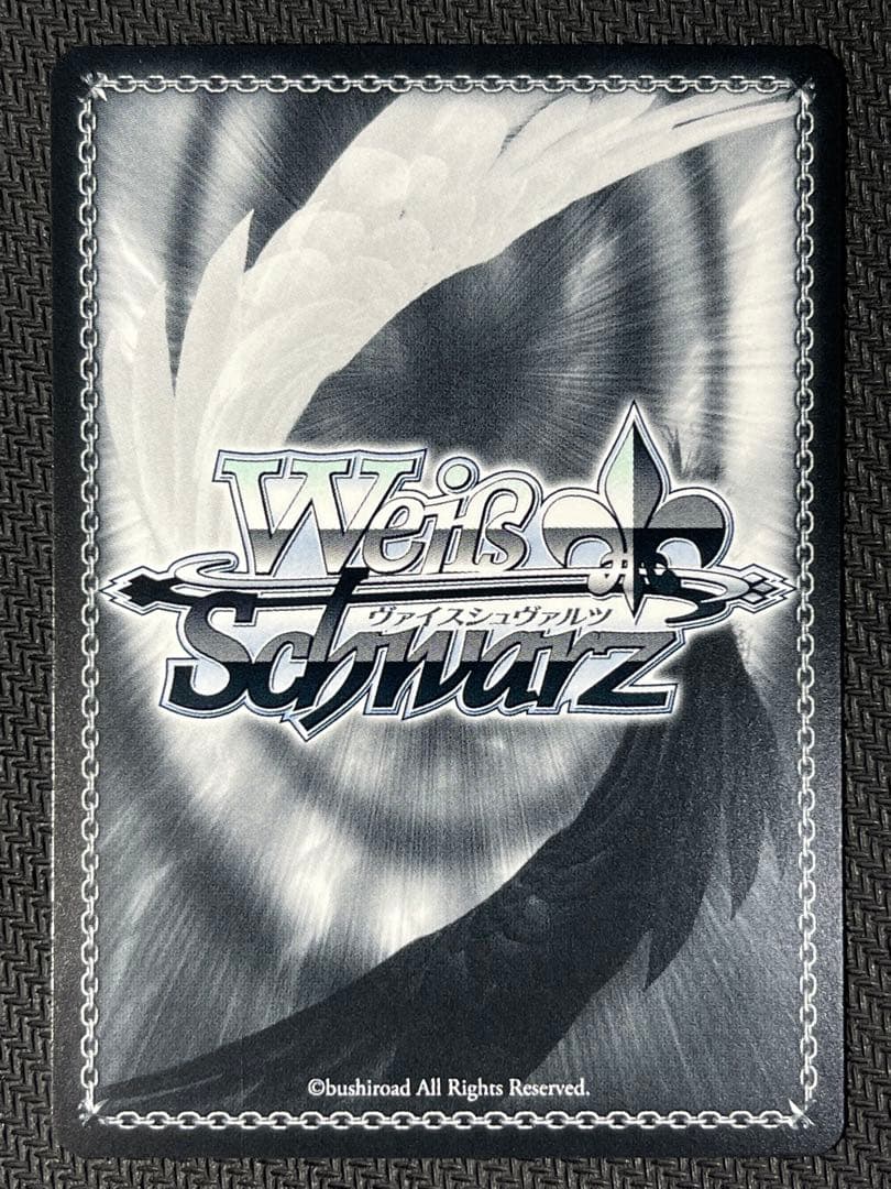 ヴァイスシュヴァルツ　レーゲンスブルク　SP