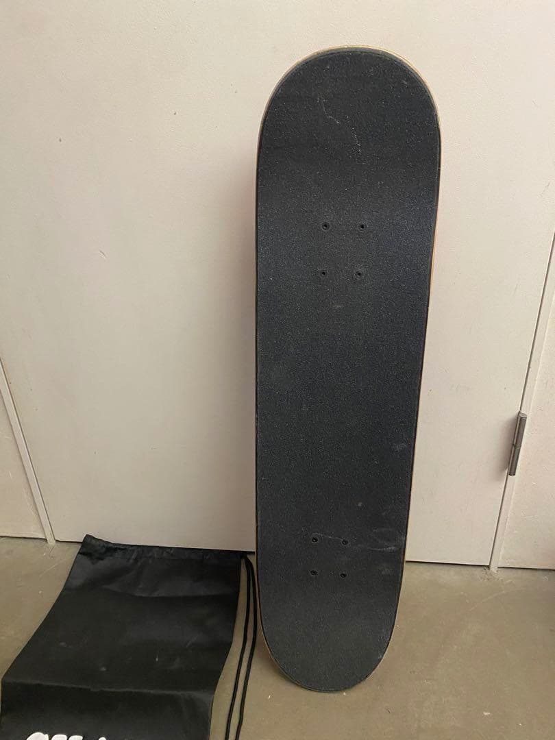 む*様 Santa Cruz スケートボード コンプリート スケボー サンタクル