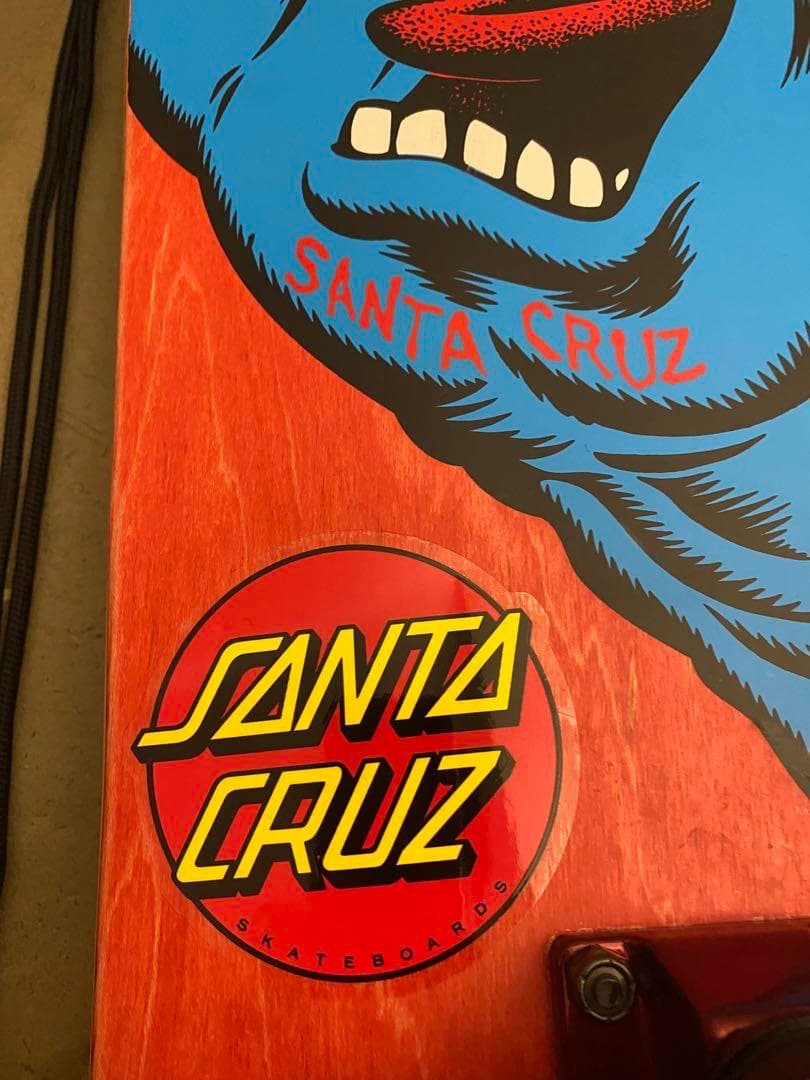 む*様 Santa Cruz スケートボード コンプリート スケボー サンタクル