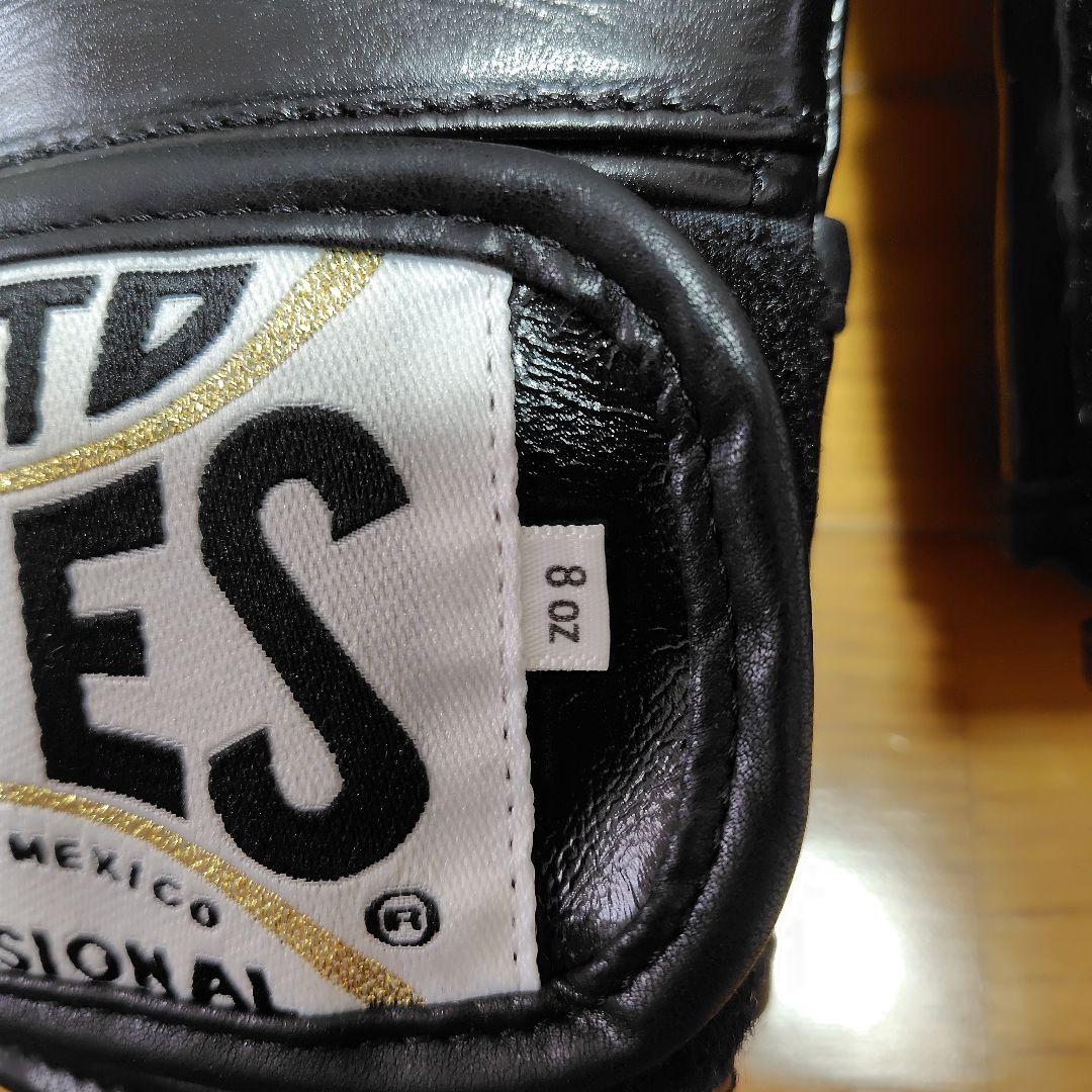 レイジェス REYES ボクシンググローブ 8oz マジックテープ式