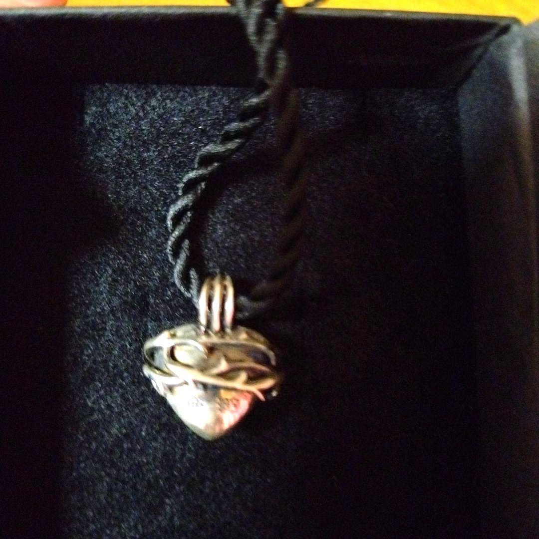 未使用！氷室京介☆PJBハートペンダント