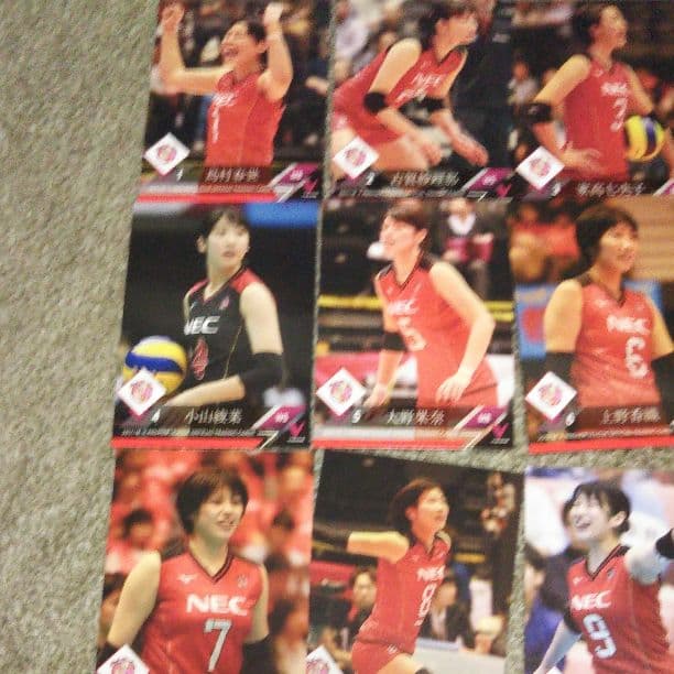 V.LEAGUE17-18トレカ