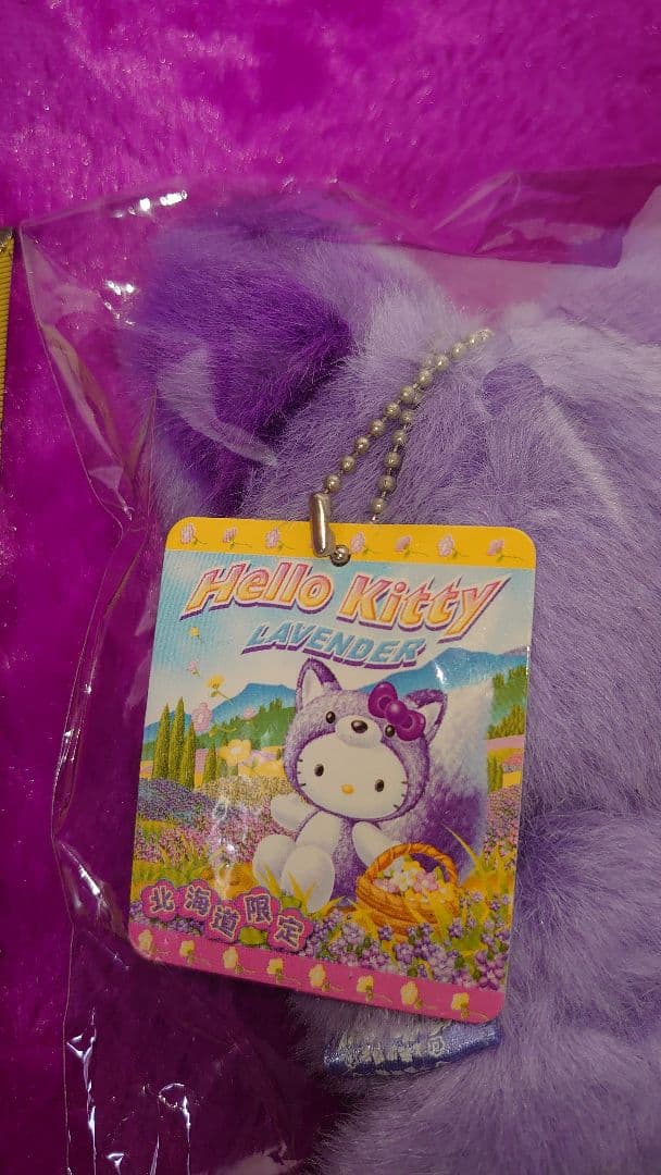 北海道限定ハローキティ キタキツネぬいぐるみマスコット2004